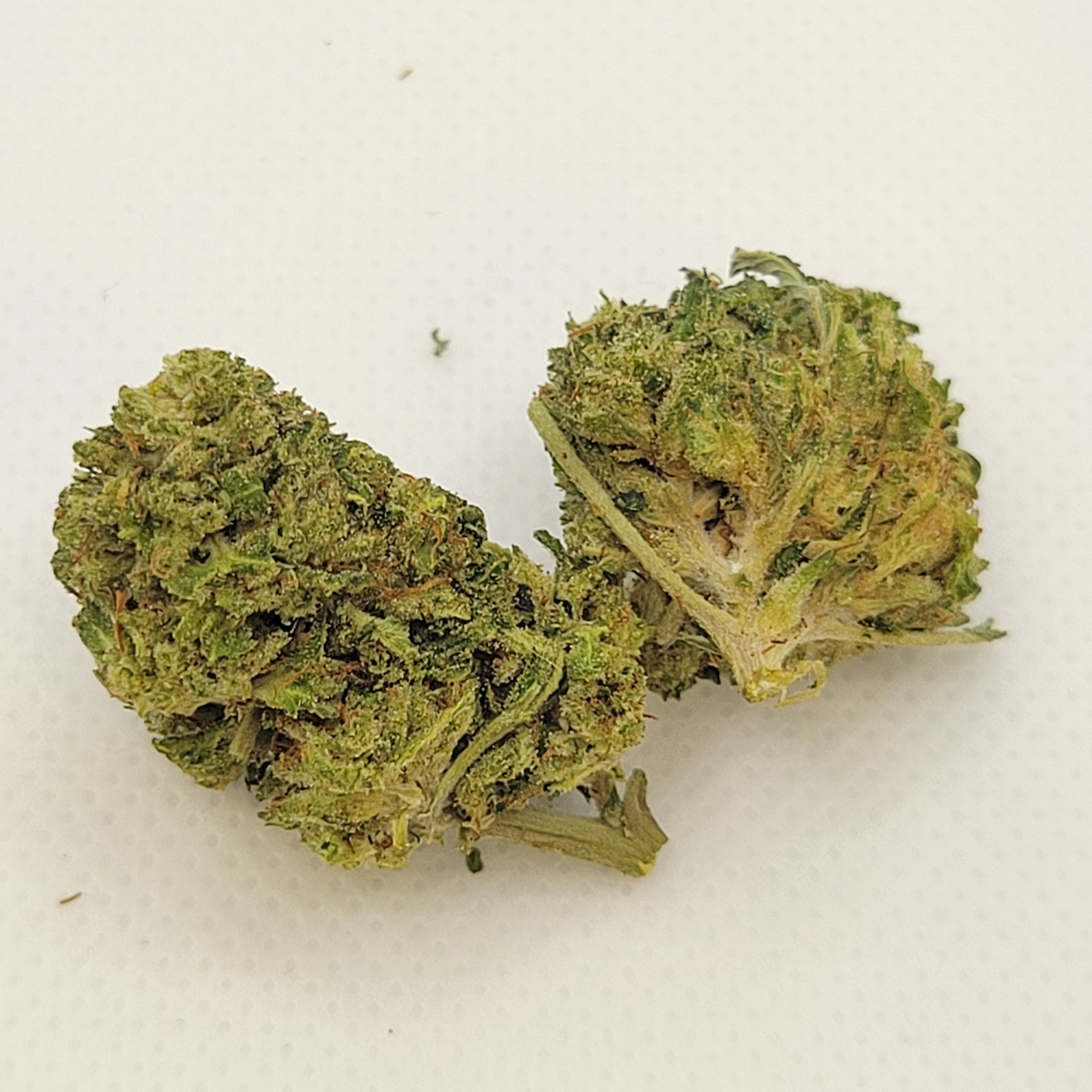 Green Crack